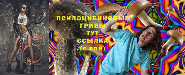 ECSTASY Аркадак