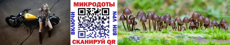 Псилоцибиновые грибы мицелий  Бабаево 